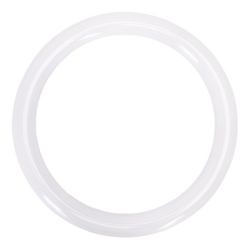 LED-fluorestsenttoru G10q/17W/230V 6500K - Aigostar