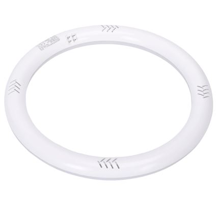 LED-fluorestsenttoru G10q/17W/230V 6500K - Aigostar