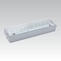 LED-hädavalgusti CARLA LED/5,51W/230V 1h/900 mAh IP65
