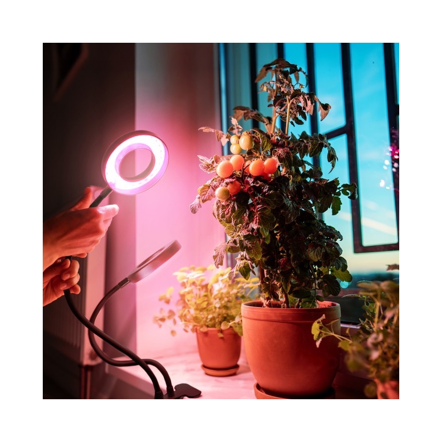 LED Hämardatav paindlik laualamp klambriga taimede kasvatamiseks VITARO 2xLED/4W/230V must