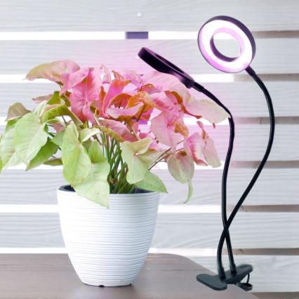 LED Hämardatav paindlik laualamp klambriga taimede kasvatamiseks VITARO 2xLED/4W/230V must