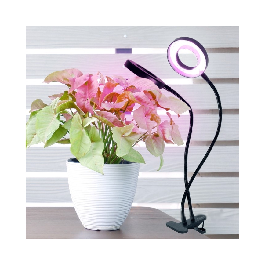 LED Hämardatav paindlik laualamp klambriga taimede kasvatamiseks VITARO 2xLED/4W/230V must