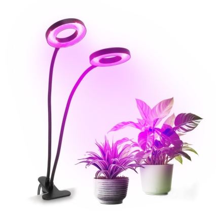 LED Hämardatav paindlik laualamp klambriga taimede kasvatamiseks VITARO 2xLED/4W/230V must
