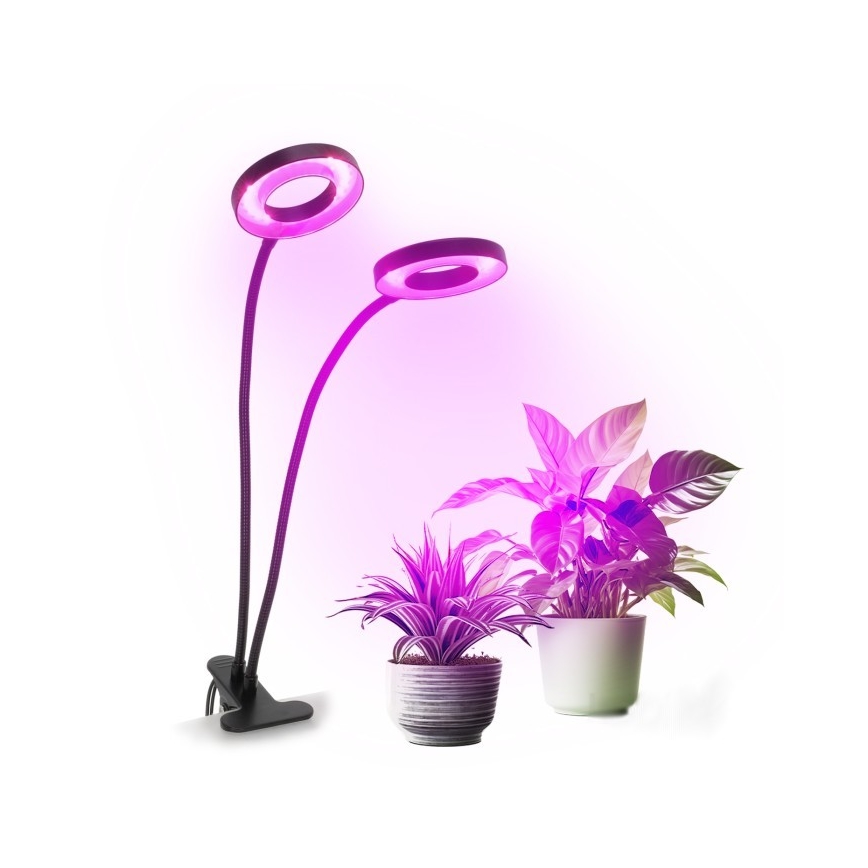 LED Hämardatav paindlik laualamp klambriga taimede kasvatamiseks VITARO 2xLED/4W/230V must
