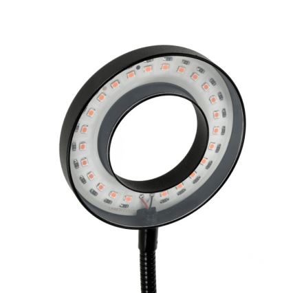 LED Hämardatav paindlik laualamp klambriga taimede kasvatamiseks VITARO 2xLED/4W/230V must