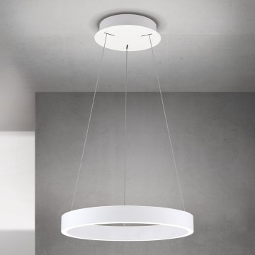 LED hämardatav kaabliga ripplühter KOLK LED/40W/230V 2700/3000/4000K läbimõõt 40 cm valge