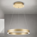 LED hämardatav kaabliga rippvalgusti KOLK LED/40W/230V 2700/3000/4000K läbimõõt 40 cm kuldne