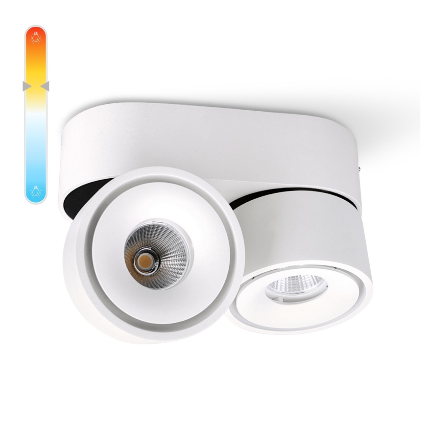 LED Hämardatav kohtvalgusti LAHTI MINI 2xLED/9W/230V 3000K CRI 90 valge