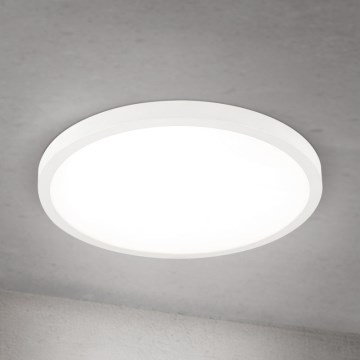 LED hämardatav laelamp DISC LED/30W/230V 2700/3000/4000K läbimõõt 40 cm valge