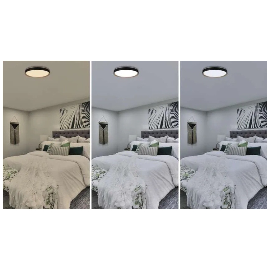 Hämardatav LED-laelamp ILVI LED/45W/230V 2700-6500K läbimõõt 50 cm must/beež + kaugjuhtimispult