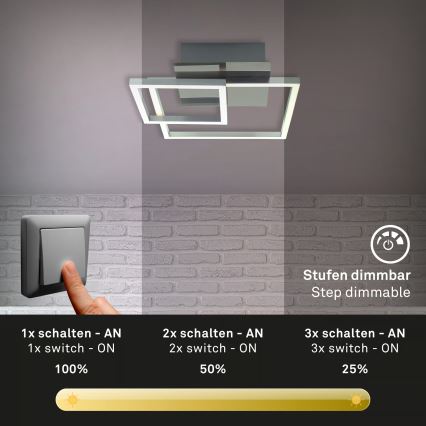 LED Hämardatav laelamp LED/12W/230V 3000K mattkroom
