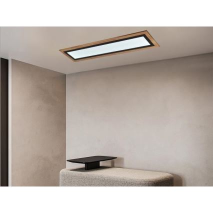LED hämardatav laelamp LED/55W/230V 3000-6500K + kaugjuhtimispult
