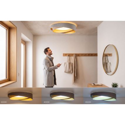 Hämardatav laelamp SMART GALAXY MODERN LED/24W/230V 3000–6500K läbimõõt 55 cm hall/beež/kuldne + kaugjuhtimispult