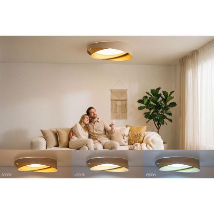 Hämardatav LED-laelamp SMART GALAXY MODERN LED/24W/230V 3000-6500K läbimõõt 55 cm beež/kuldne + kaugjuhtimispult