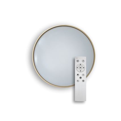 LED Hämardatav laevalgusti DRINA LED/36W/230V 2700-6500K d. 50 cm + kaugjuhtimispult