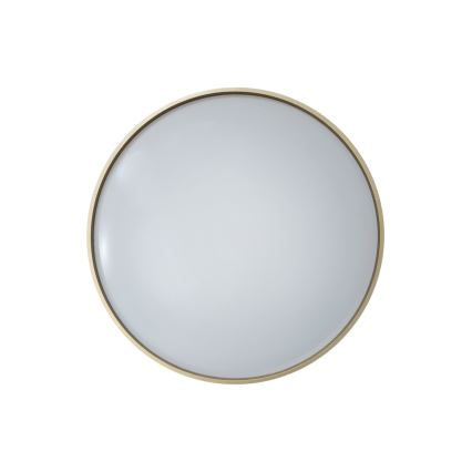 LED Hämardatav laevalgusti DRINA LED/36W/230V 2700-6500K d. 50 cm + kaugjuhtimispult