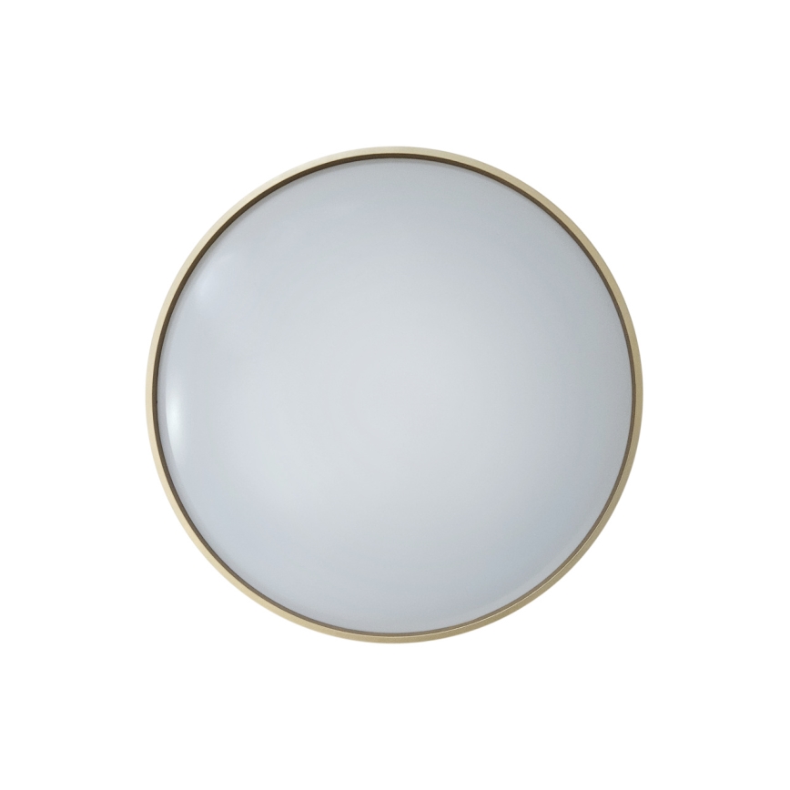 LED Hämardatav laevalgusti DRINA LED/36W/230V 2700-6500K d. 50 cm + kaugjuhtimispult
