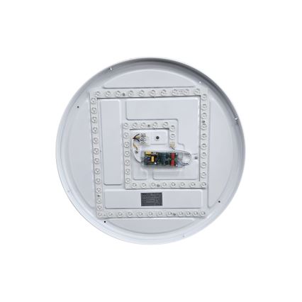 LED Hämardatav laevalgusti EBRO LED/36W/230V 2700-6500K d. 50 cm + kaugjuhtimispult