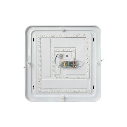 LED Hämardatav laevalgusti FLORA LED/36W/230V 2700-6500K 43x43 cm + kaugjuhtimispult