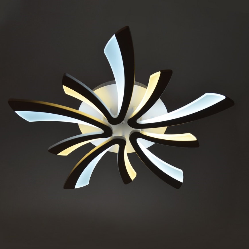 LED Hämardatav laevalgusti FLORANCE 2xLED/50W/230V + pult