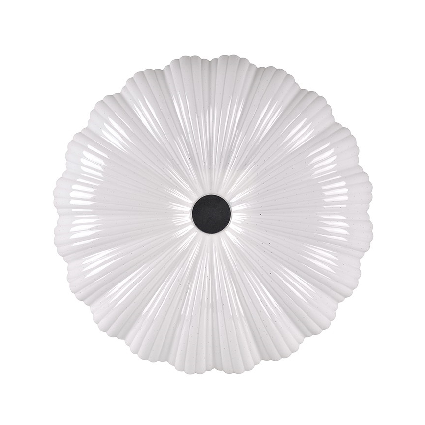 LED Hämardatav laevalgusti FLOWER LED/36W/230V + kaugjuhtimispuldiga