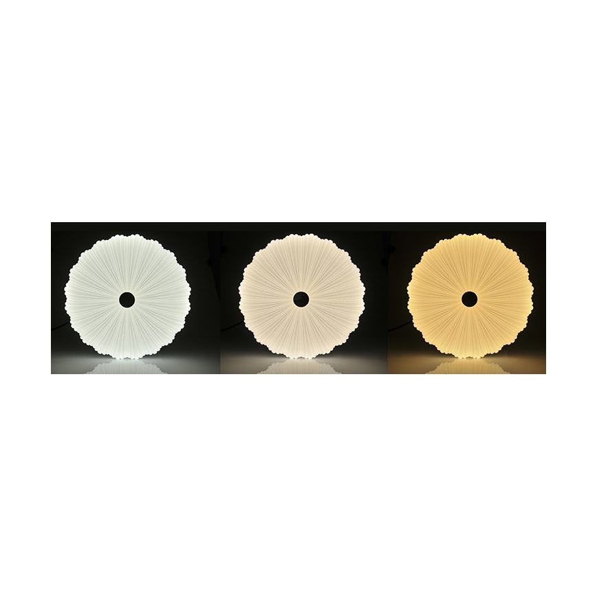LED Hämardatav laevalgusti FLOWER LED/36W/230V + kaugjuhtimispuldiga