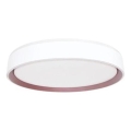 LED Hämardatav laevalgusti hääljuhtimisega OPAL LED/48W/230V 2700-6500K valge + kaugjuhtimispult