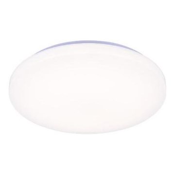 LED Hämardatav laevalgusti hääljuhtimisega OPAL LED/48W/230V 2700-6500K valge + kaugjuhtimispult