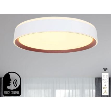 LED Hämardatav laevalgusti hääljuhtimisega OPAL LED/48W/230V 2700-6500K valge + kaugjuhtimispult
