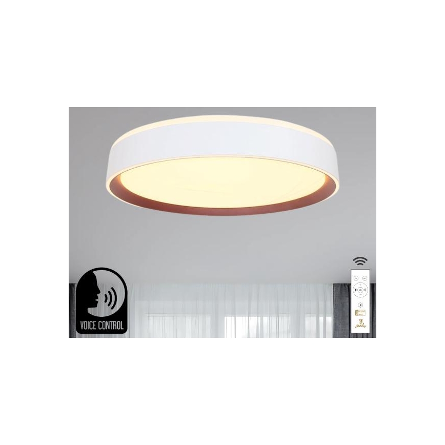 LED Hämardatav laevalgusti hääljuhtimisega OPAL LED/48W/230V 2700-6500K valge + kaugjuhtimispult