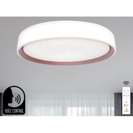 LED Hämardatav laevalgusti hääljuhtimisega OPAL LED/48W/230V 2700-6500K valge + kaugjuhtimispult