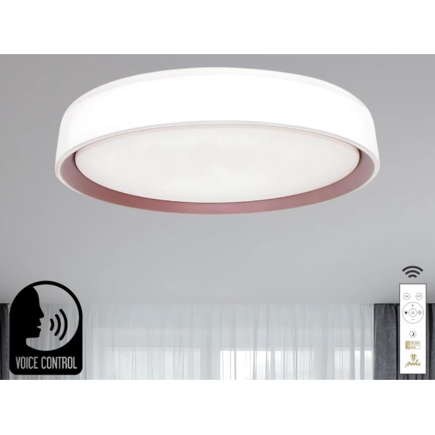 LED Hämardatav laevalgusti hääljuhtimisega OPAL LED/48W/230V 2700-6500K valge + kaugjuhtimispult