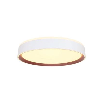 LED Hämardatav laevalgusti hääljuhtimisega OPAL LED/48W/230V 2700-6500K valge + kaugjuhtimispult