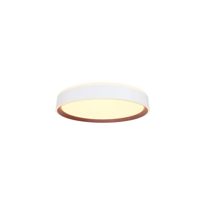 LED Hämardatav laevalgusti hääljuhtimisega OPAL LED/48W/230V 2700-6500K valge + kaugjuhtimispult
