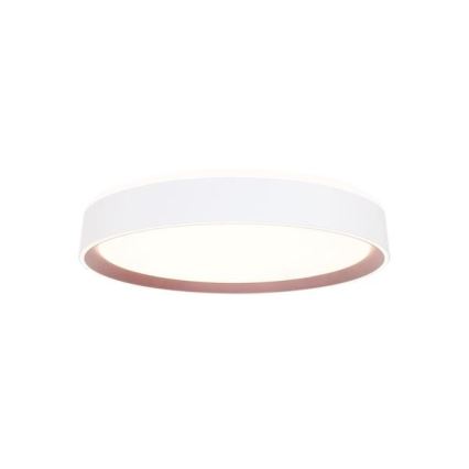 LED Hämardatav laevalgusti hääljuhtimisega OPAL LED/48W/230V 2700-6500K valge + kaugjuhtimispult