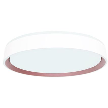 LED Hämardatav laevalgusti hääljuhtimisega OPAL LED/48W/230V 2700-6500K valge + kaugjuhtimispult