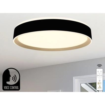 LED Hämardatav laevalgusti hääljuhtimisega OPAL LED/48W/230V 2700-6500K must + kaugjuhtimispult