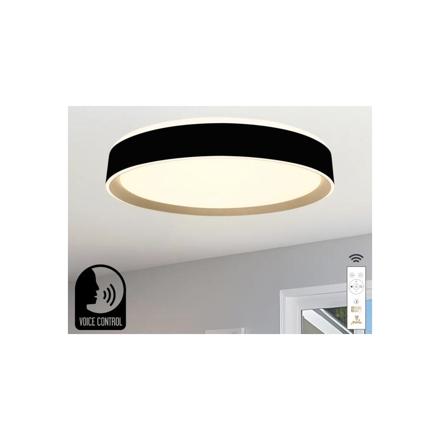 LED Hämardatav laevalgusti hääljuhtimisega OPAL LED/48W/230V 2700-6500K must + kaugjuhtimispult