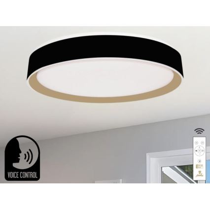 LED Hämardatav laevalgusti hääljuhtimisega OPAL LED/48W/230V 2700-6500K must + kaugjuhtimispult