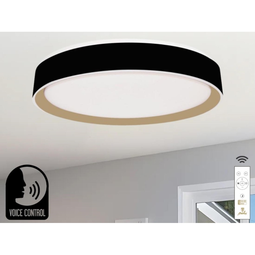 LED Hämardatav laevalgusti hääljuhtimisega OPAL LED/48W/230V 2700-6500K must + kaugjuhtimispult