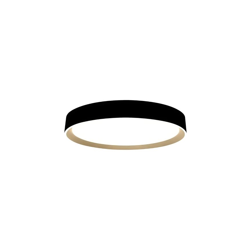 LED Hämardatav laevalgusti hääljuhtimisega OPAL LED/48W/230V 2700-6500K must + kaugjuhtimispult