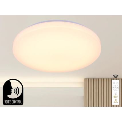 LED Hämardatav laevalgusti hääljuhtimisega OPAL LED/48W/230V 2700-6500K valge + kaugjuhtimispult