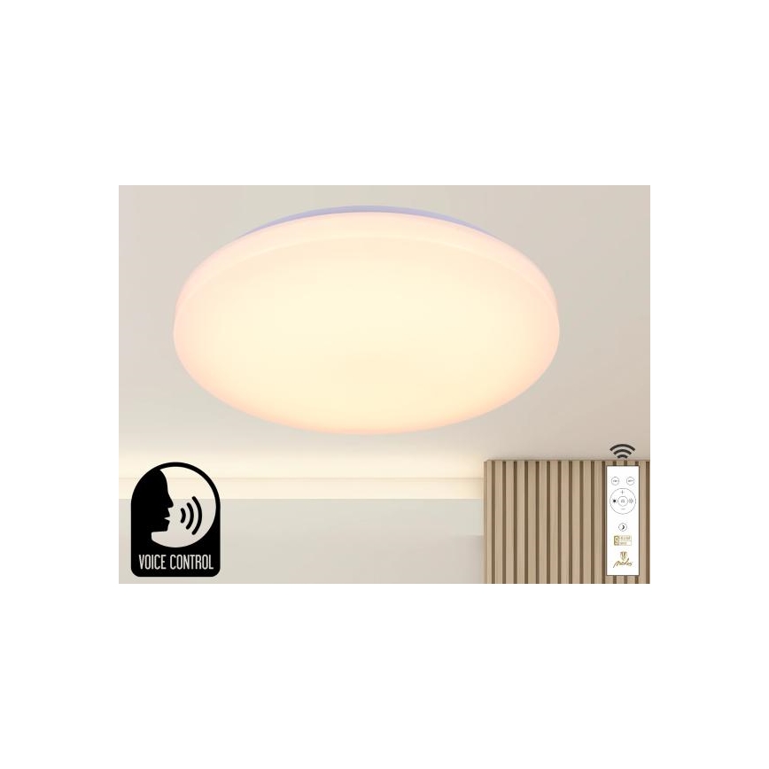 LED Hämardatav laevalgusti hääljuhtimisega OPAL LED/48W/230V 2700-6500K valge + kaugjuhtimispult
