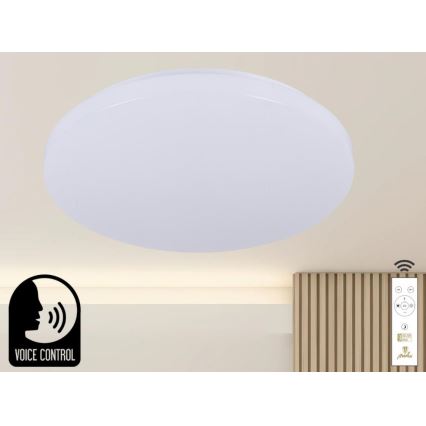 LED Hämardatav laevalgusti hääljuhtimisega OPAL LED/48W/230V 2700-6500K valge + kaugjuhtimispult