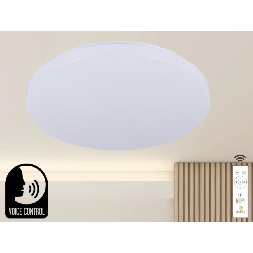 LED Hämardatav laevalgusti hääljuhtimisega OPAL LED/48W/230V 2700-6500K valge + kaugjuhtimispult
