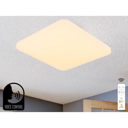 LED Hämardatav laevalgusti hääljuhtimisega OPAL LED/48W/230V 2700-6500K valge + kaugjuhtimispult