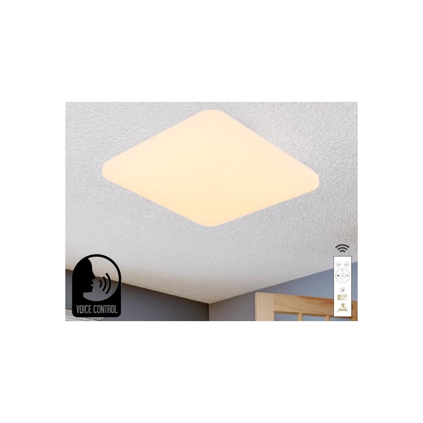 LED Hämardatav laevalgusti hääljuhtimisega OPAL LED/48W/230V 2700-6500K valge + kaugjuhtimispult
