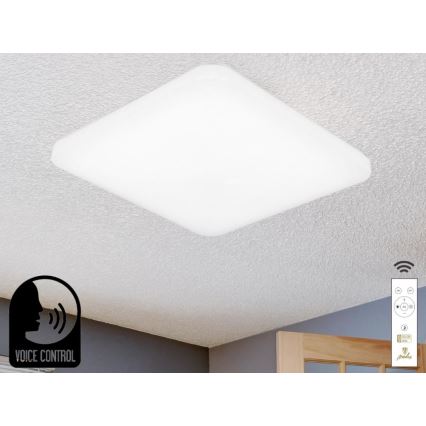 LED Hämardatav laevalgusti hääljuhtimisega OPAL LED/48W/230V 2700-6500K valge + kaugjuhtimispult