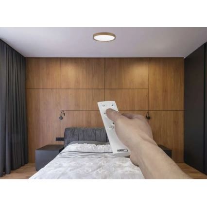 Hämardatav LED-laevalgusti ILVI LED/30W/230V 2700-6500K, läbimõõt 40 cm, beež + kaugjuhtimispult