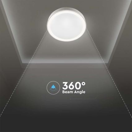 LED Hämardatav laevalgusti LED/40W/230V 3000K/4000K/6500K + kaugjuhtimispult